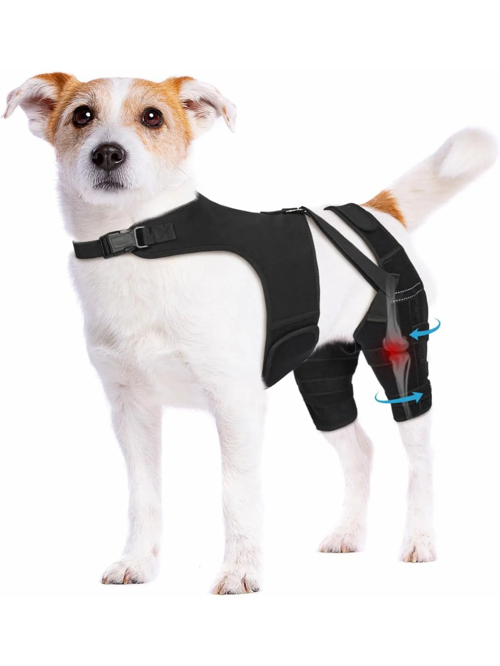 GrowPets Dog Knee Support Brace