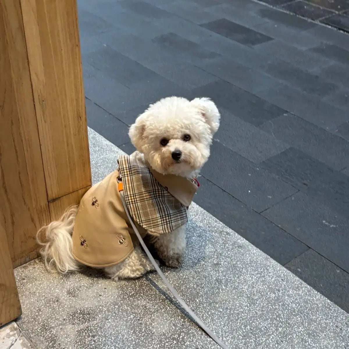 GrowPets Sherlock Pup Cape