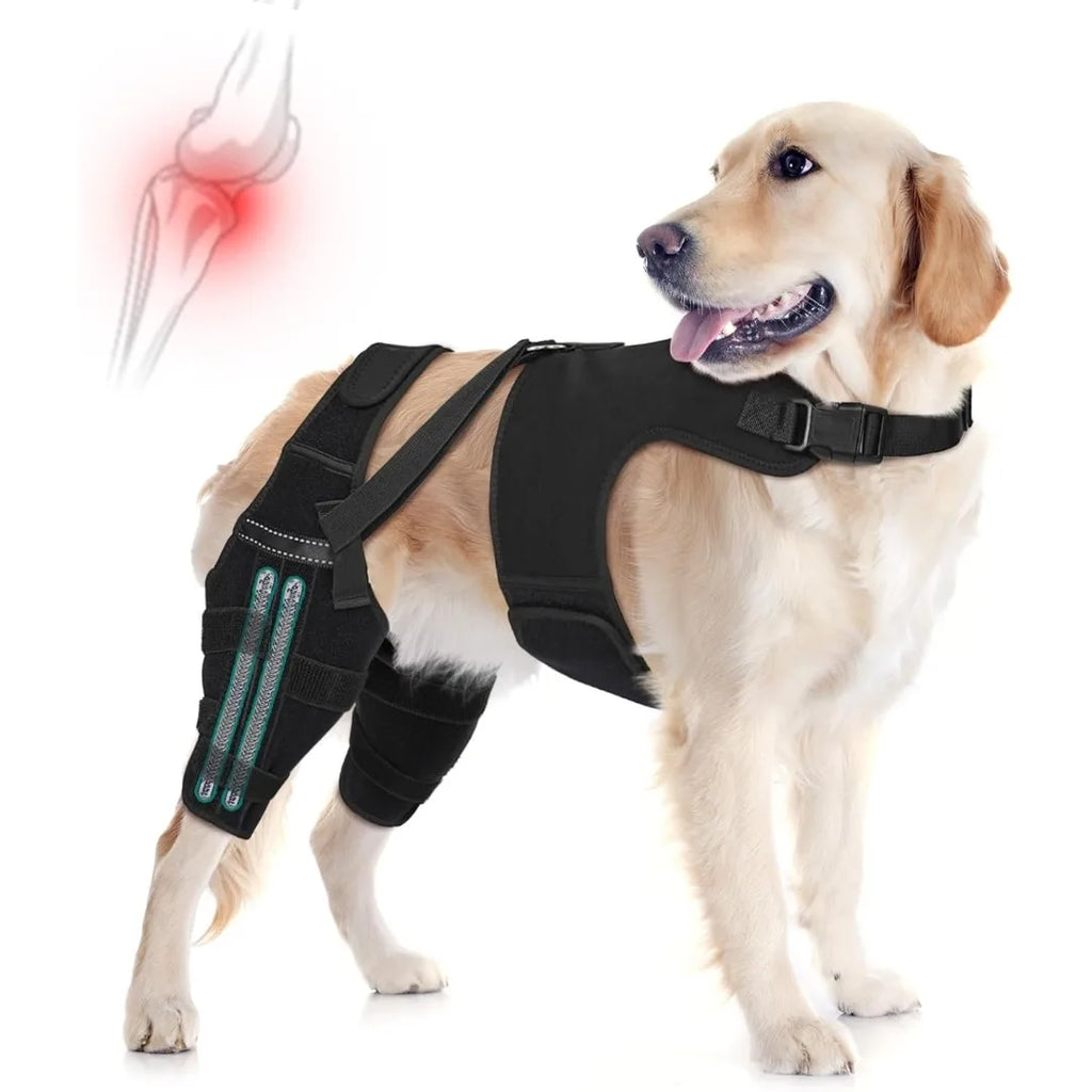 GrowPets Dog Knee Support Brace