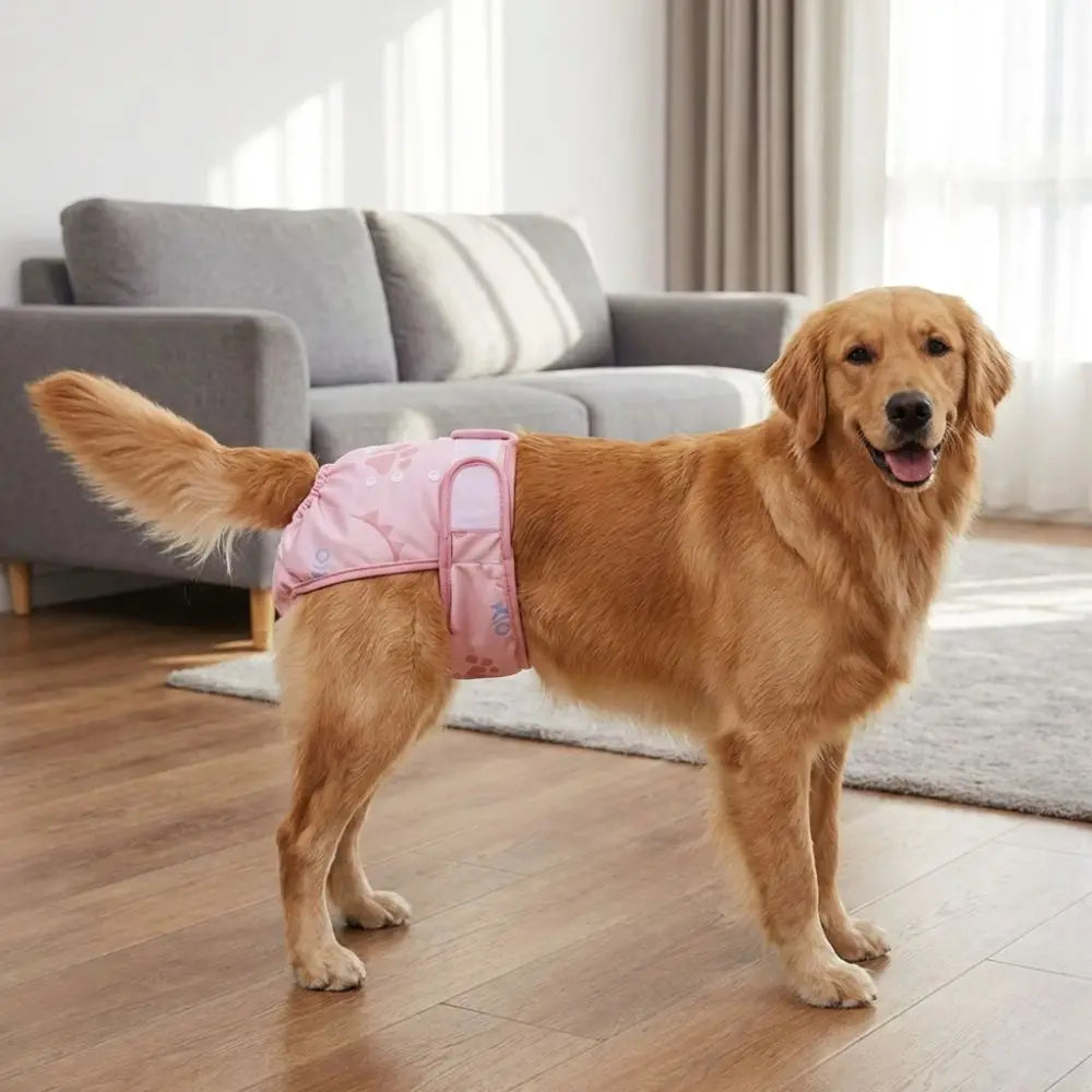 GrowPets Washable Dog Sanitary Pants