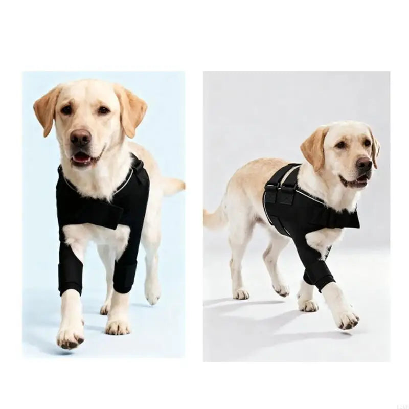 GrowPets Adjustable Front Leg Support Wrap