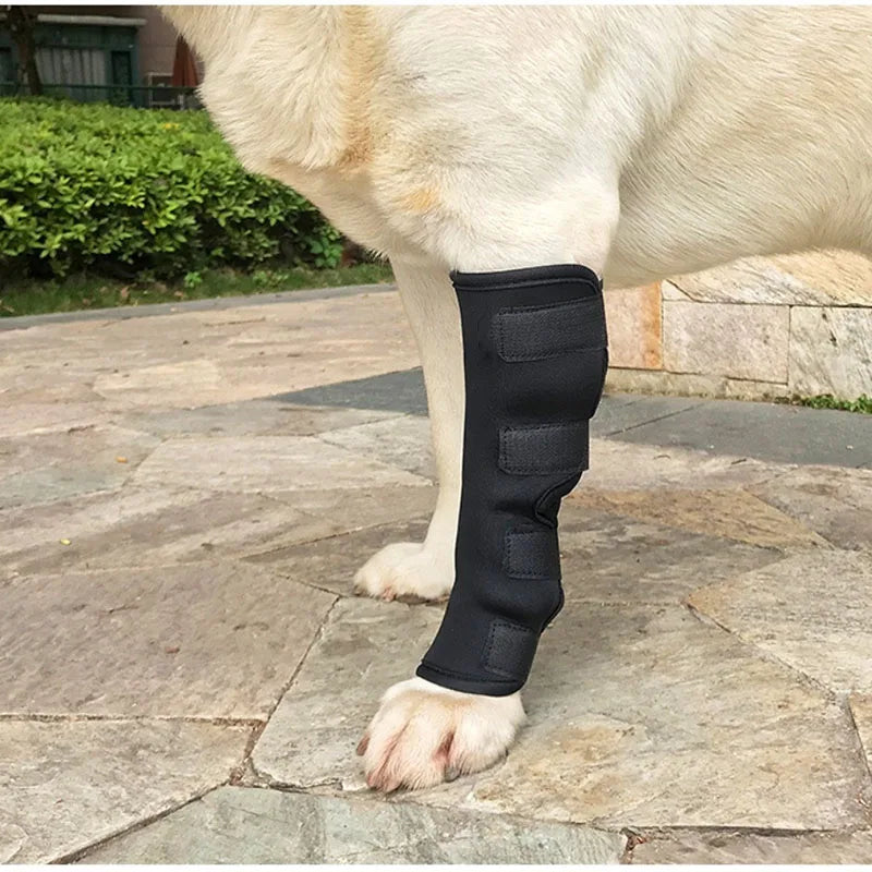 GrowPets Dog Knee Recovery Wrap