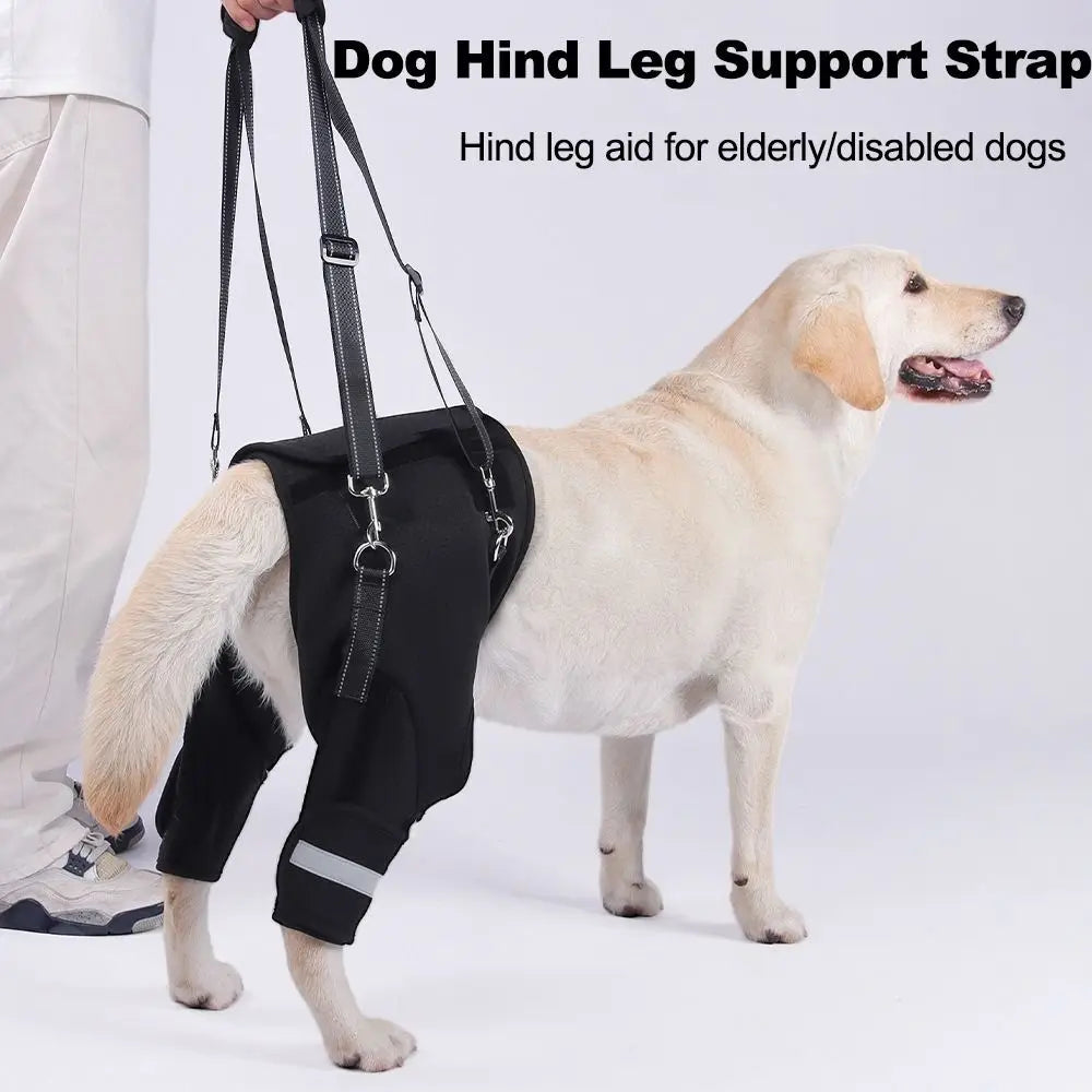 GrowPets Hip Support Lift Harness