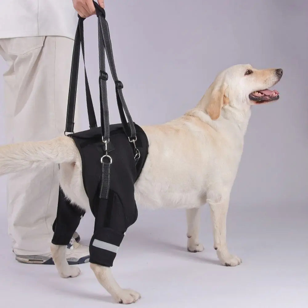 GrowPets Hip Support Lift Harness