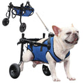 GrowPets EasyStride