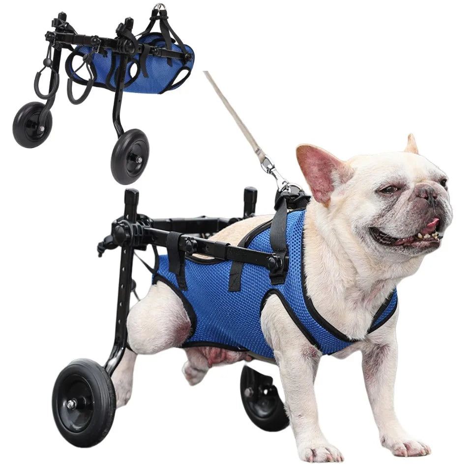 GrowPets EasyStride