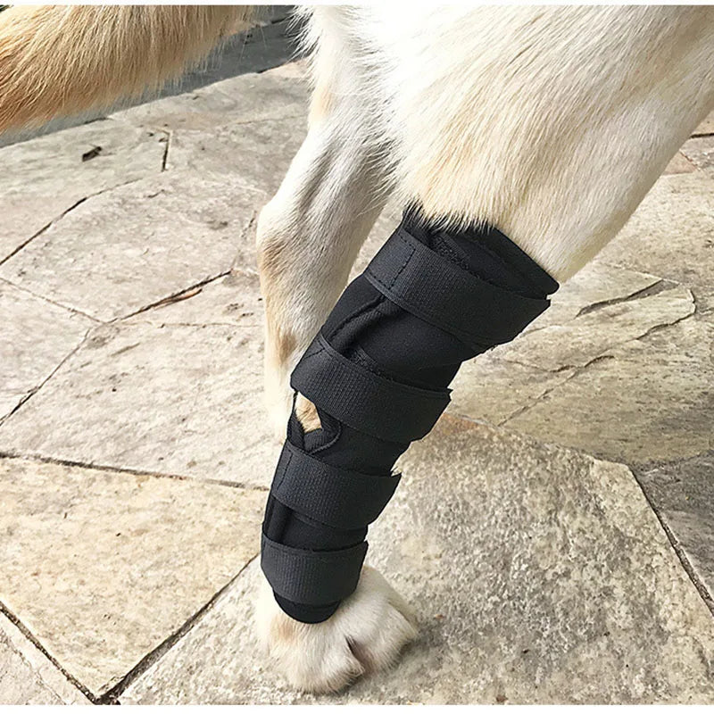 GrowPets Dog Knee Recovery Wrap