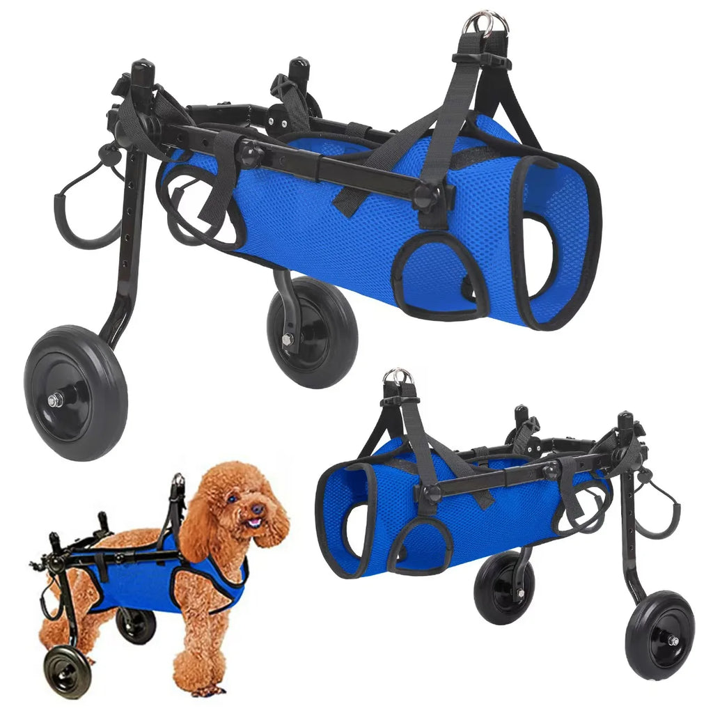 GrowPets EasyStride