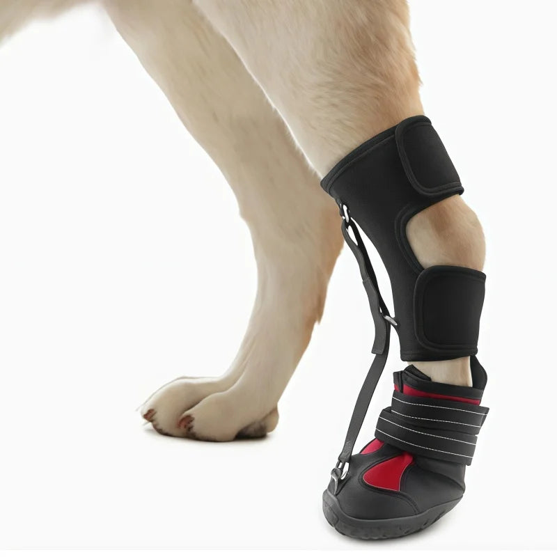 GrowPets PawGuard Pet Boots