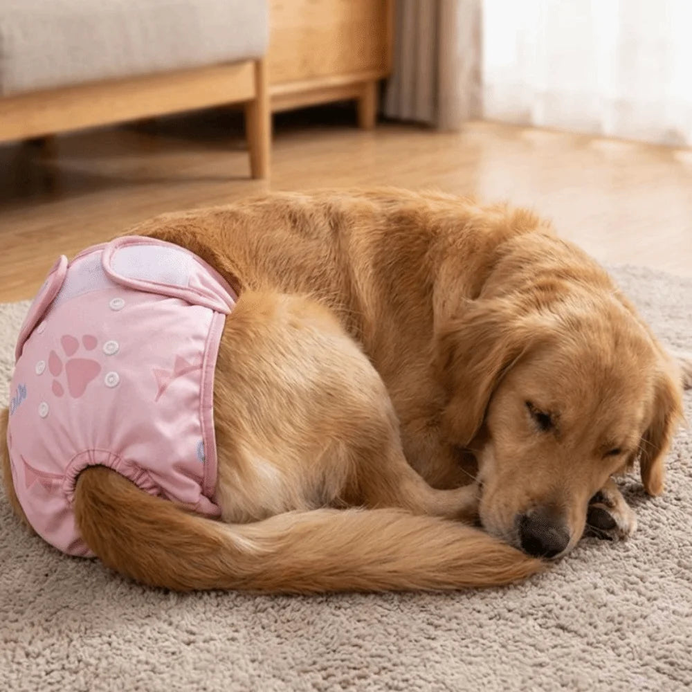 GrowPets Washable Dog Sanitary Pants