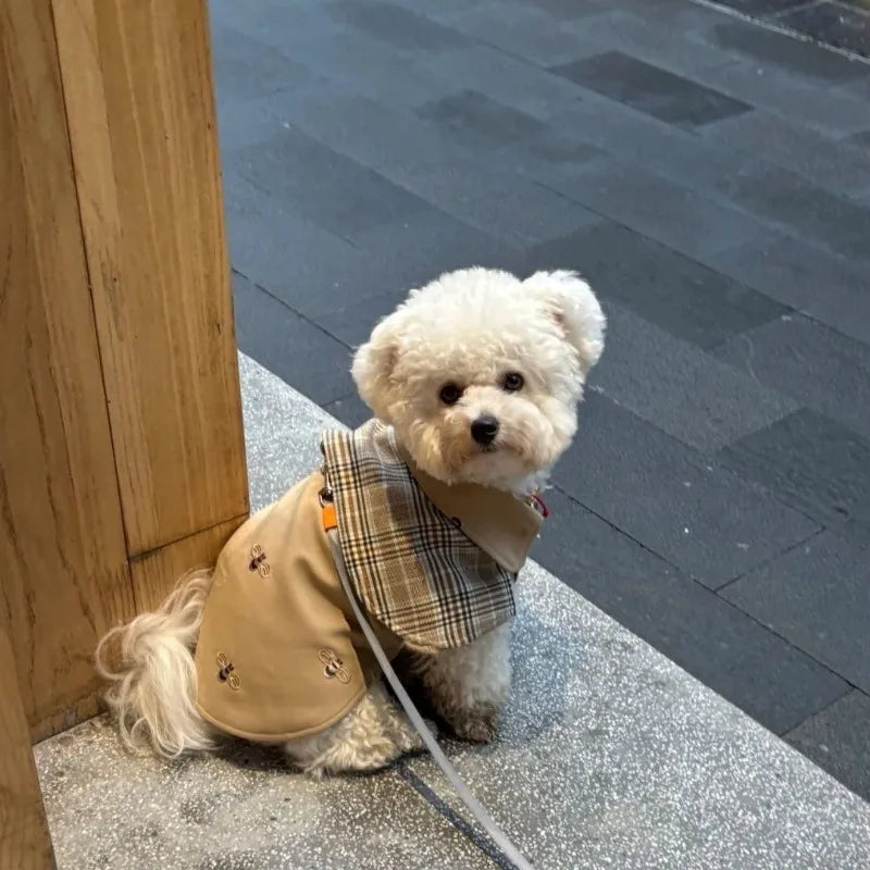GrowPets Sherlock Pup Cape