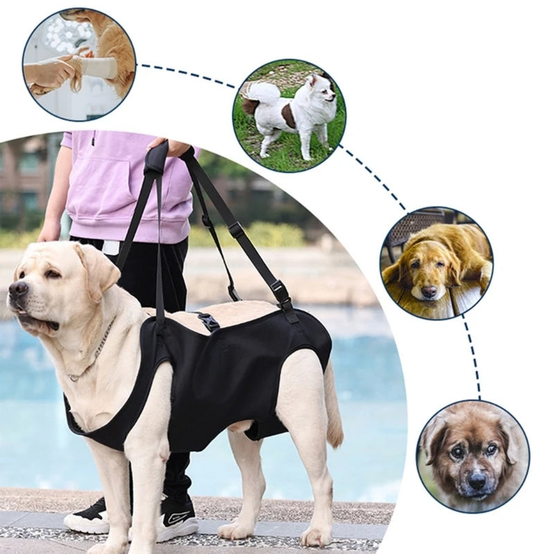 GrowPets Full Body Support Harness