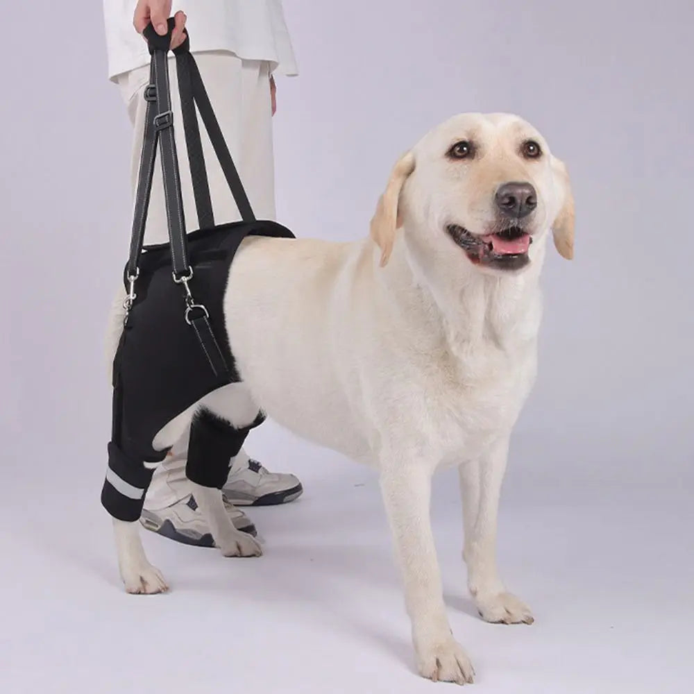 GrowPets Hip Support Lift Harness