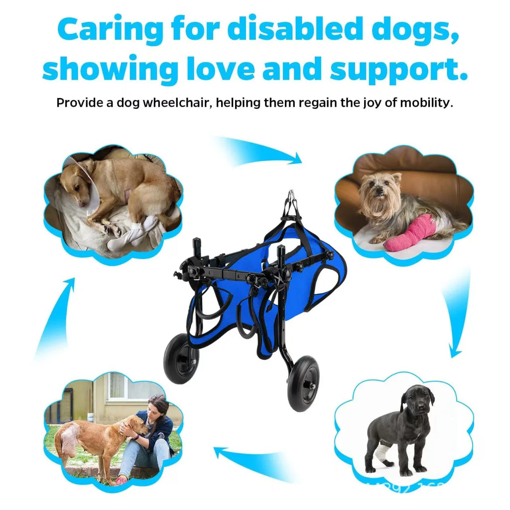 GrowPets EasyStride