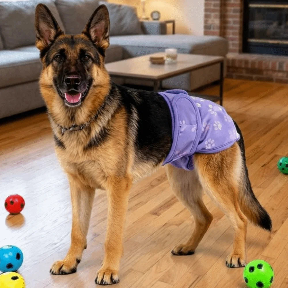 GrowPets Washable Dog Sanitary Pants