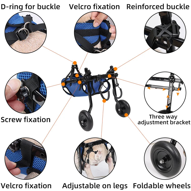 GrowPets EasyStride